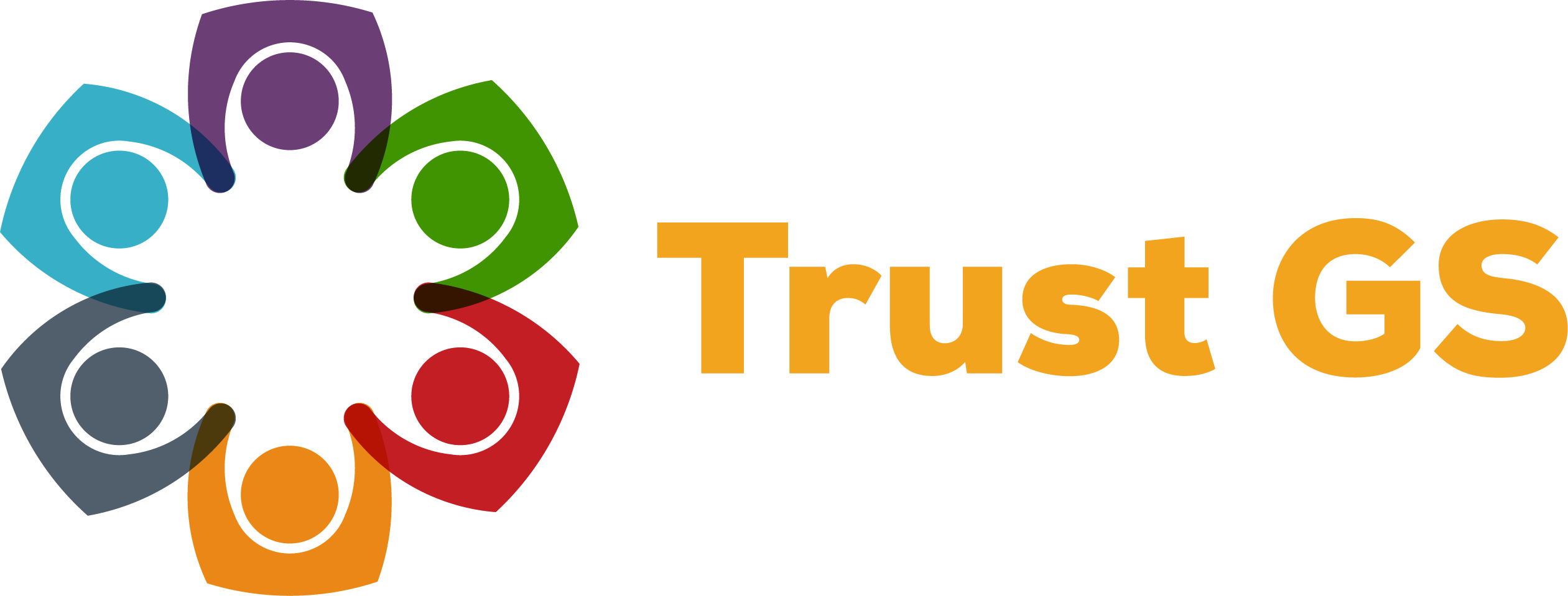 Trust Governor Services